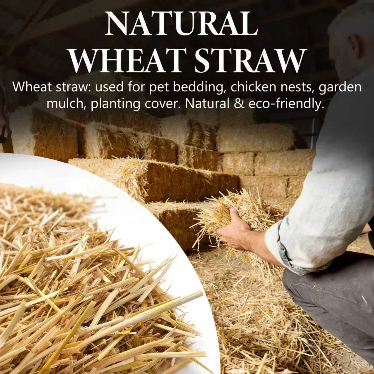 Natural Wheat Straw, 1 LB Clean Dry Straw Bale | Natural Wheat Straw for Garden Use, Bedding for Chicken Coop, Dog & Cat Shelter, Farm Applications