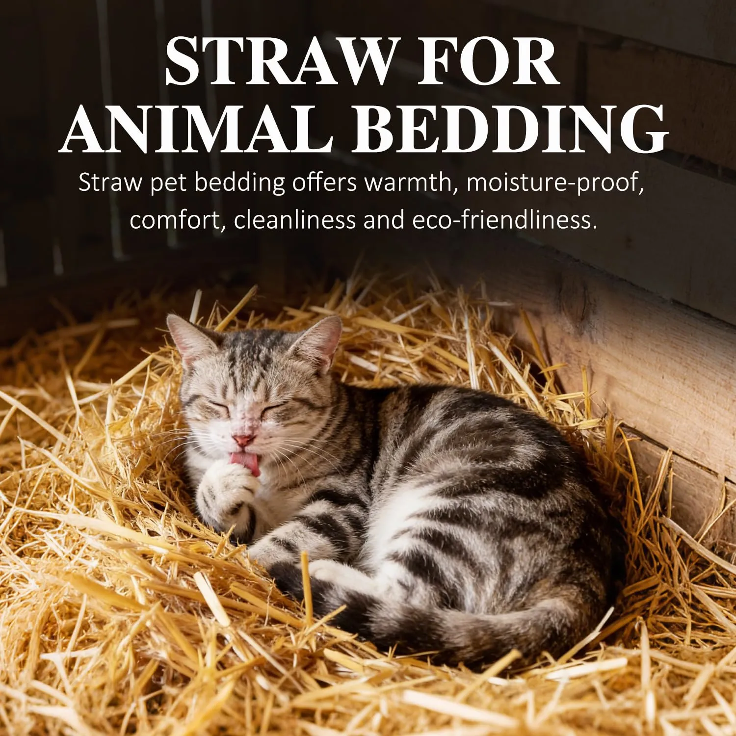 Natural Wheat Straw, 1 LB Clean Dry Straw Bale | Natural Wheat Straw for Garden Use, Bedding for Chicken Coop, Dog & Cat Shelter, Farm Applications