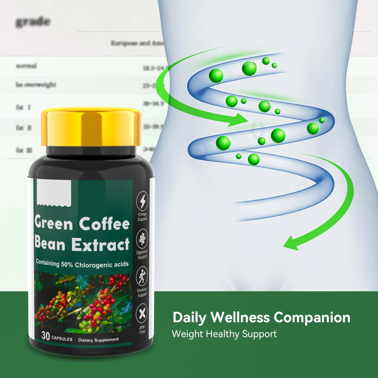 Green Coffee Bean Extract 50% Chlorogenic Acids, Energy and Digestion Support, Jitter Free, 30 Count