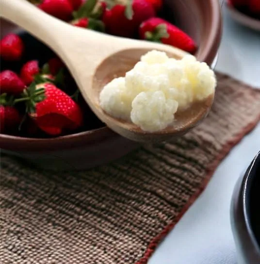 Milk Kefir Grains for Making Probiotic Kefir Drink, strong probiotic, 1 TABLESPOON, bulgaros, pajaritos, alive grains.