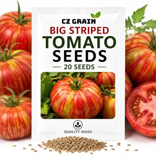 CZ Grain Seeds for Planting – Vegetable, Flower, Herb, Fruit, Tree & Unique Garden Seeds – Quality Seeds for Home Gardens, 20 Big Striped Tomato