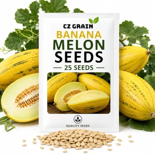 CZ Grain Seeds for Planting – Vegetable, Flower, Herb, Fruit, Tree & Unique Garden Seeds – Quality Seeds for Home Gardens, 25 Banana Melon Seeds