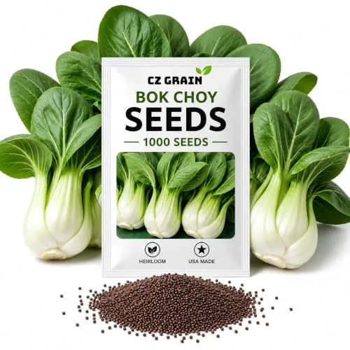 CZ Grain Seeds for Planting – Vegetable, Flower, Herb, Fruit, Tree & Unique Garden Seeds – Quality Seeds for Home Gardens, 1,000 Bok Choy