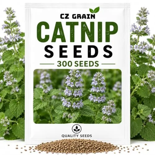 CZ Grain Seeds for Planting – Vegetable, Flower, Herb, Fruit, Tree & Unique Garden Seeds – Quality Seeds for Home Gardens, 300 Catnip Seeds