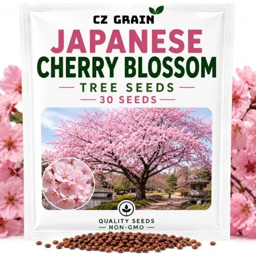 CZ Grain Seeds for Planting – Vegetable, Flower, Herb, Fruit, Tree & Unique Garden Seeds – Quality Seeds for Home Gardens, 30 Japanese Cherery Blossom Seeds