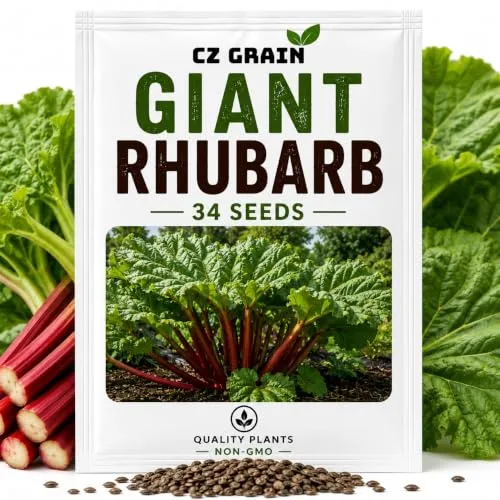 CZ Grain Seeds for Planting – Vegetable, Flower, Herb, Fruit, Tree & Unique Garden Seeds – Quality Seeds for Home Gardens, 34 Giant Rhubarb Seeds