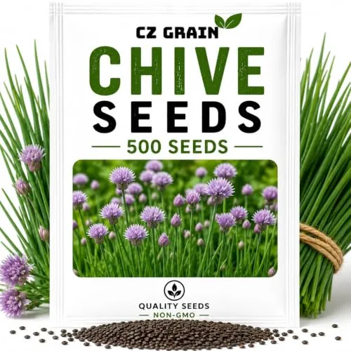 CZ Grain Seeds for Planting – Vegetable, Flower, Herb, Fruit, Tree & Unique Garden Seeds – Quality Seeds for Home Gardens, 500 Chive Seeds