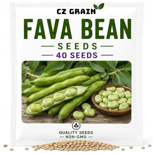 CZ Grain Seeds for Planting – Vegetable, Flower, Herb, Fruit, Tree & Unique Garden Seeds – Quality Seeds for Home Gardens, 40 Fava Bean Seeds