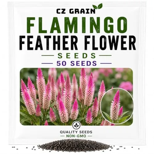 CZ Grain Seeds for Planting – Vegetable, Flower, Herb, Fruit, Tree & Unique Garden Seeds – Quality Seeds for Home Gardens, 50 Flamingo Feather Seeds