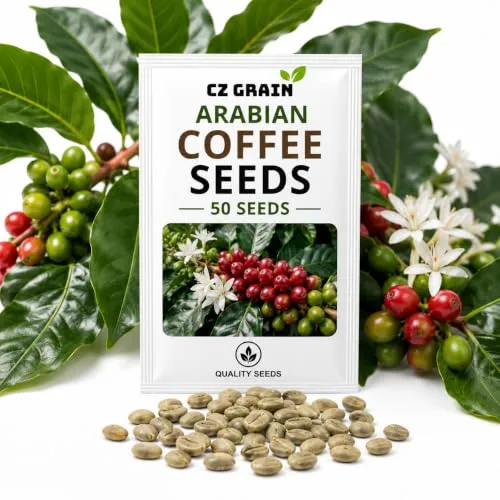 CZ Grain Seeds for Planting – Vegetable, Flower, Herb, Fruit, Tree & Unique Garden Seeds – Quality Seeds for Home Gardens, 50 Arabian Coffee