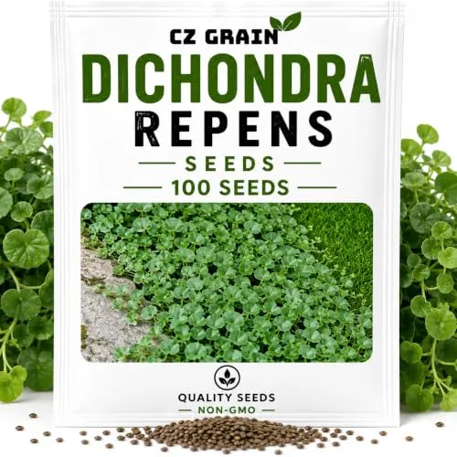 CZ Grain Seeds for Planting – Vegetable, Flower, Herb, Fruit, Tree & Unique Garden Seeds – Quality Seeds for Home Gardens, 100 Dichondra Repens Seeds