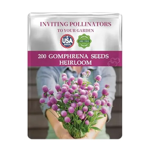 Pink Globe Amaranth Seeds Pack - Beautiful Garden Flowers Seeds