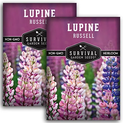 Survival Garden Seeds Russell Lupine Mix Seeds for Planting, 2 Packs