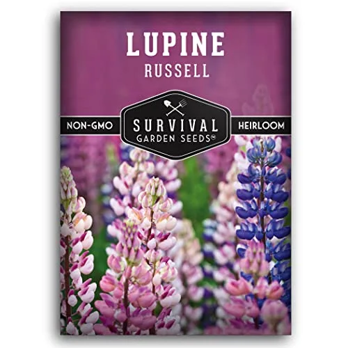 Survival Garden Seeds Russell Lupine Mix Seeds for Planting, 1 Pack