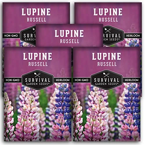 Survival Garden Seeds Russell Lupine Mix Seeds for Planting, 5 Packs