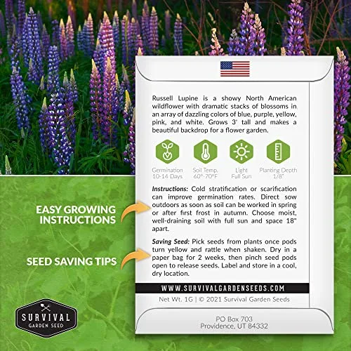 Survival Garden Seeds Russell Lupine Mix Seeds for Planting, 5 Packs