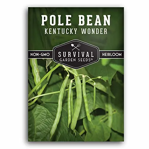 Kentucky Wonder Pole Bean Seeds for Planting (1 Pack)