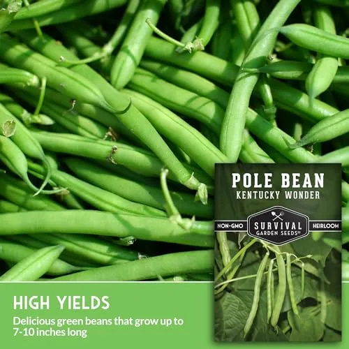 Kentucky Wonder Pole Bean Seeds for Planting (1 Pack)
