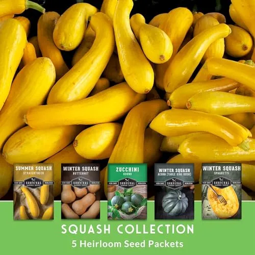 Squash Seeds Collection for Planting