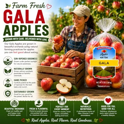 Gala Apples, 3 lb Bag – Sweet, Crisp & Juicy Apples for Snacking & Baking