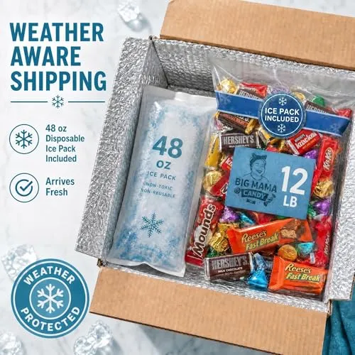 Big Mama Candy Chocolate Candy Variety Pack 10 lb Bulk Bar Mix