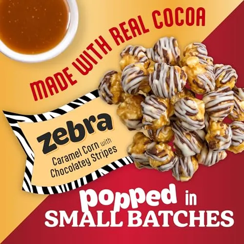 Popcornopolis Zebra Caramel with Chocolatey Stripes Popcorn, 8oz Cone