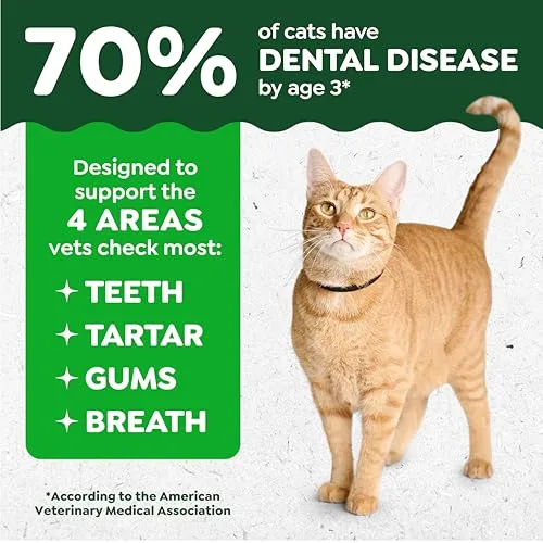 Greenies Feline Natural Crunchy Dental Cat Treats, Salmon Flavor, 2.1 oz