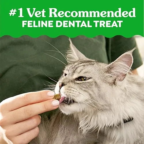 Greenies Feline Natural Crunchy Dental Cat Treats, Salmon Flavor, 21 oz