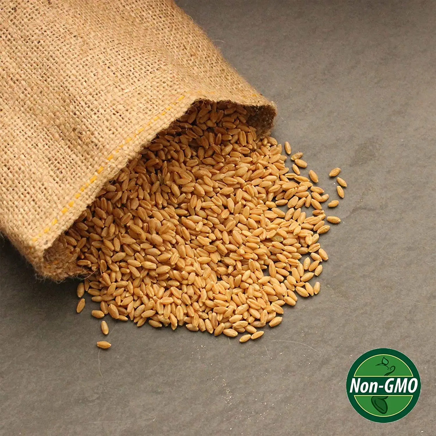 Handy Pantry Organic Whole Wheat Kernels 5 Lb Bulk Non-GMO