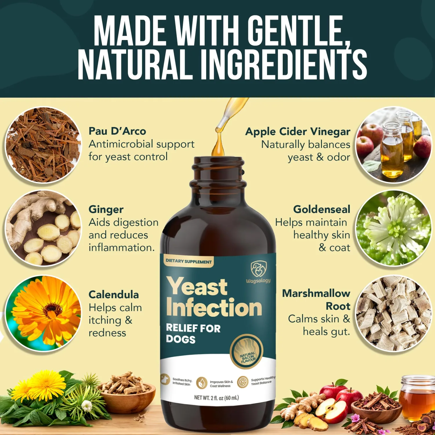 Yeast Infection Treatment for Dogs Drops (7 in 1 Formula) Soothes Itchy & Irritated Skin, Improves Skin and Coat, Dog Yeast Infection Treatment & Anti Yeast Drops for Dogs
