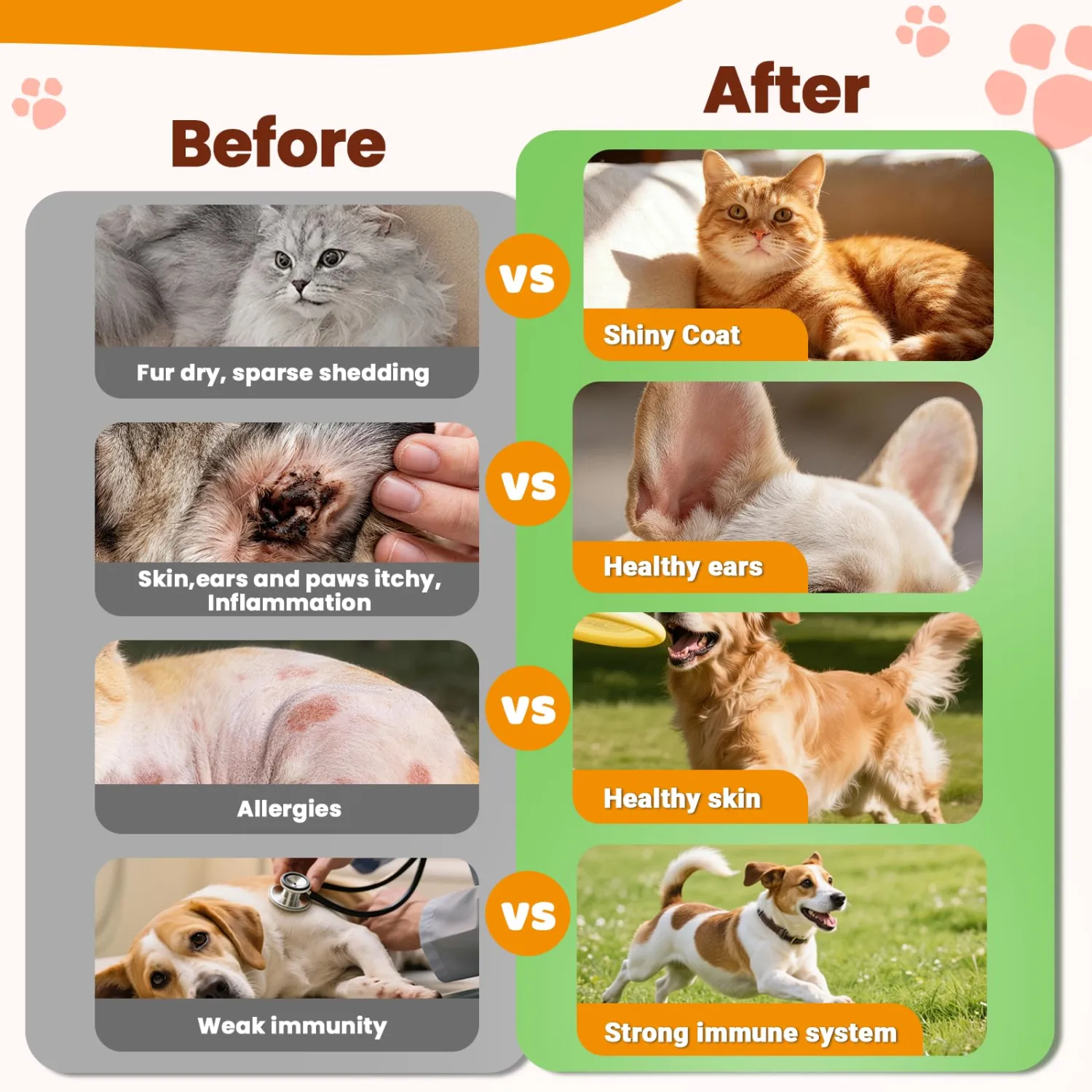 VUN Yeast Infection Treatment for Dogs- for Itchy Skin,Ears &Paw Redness