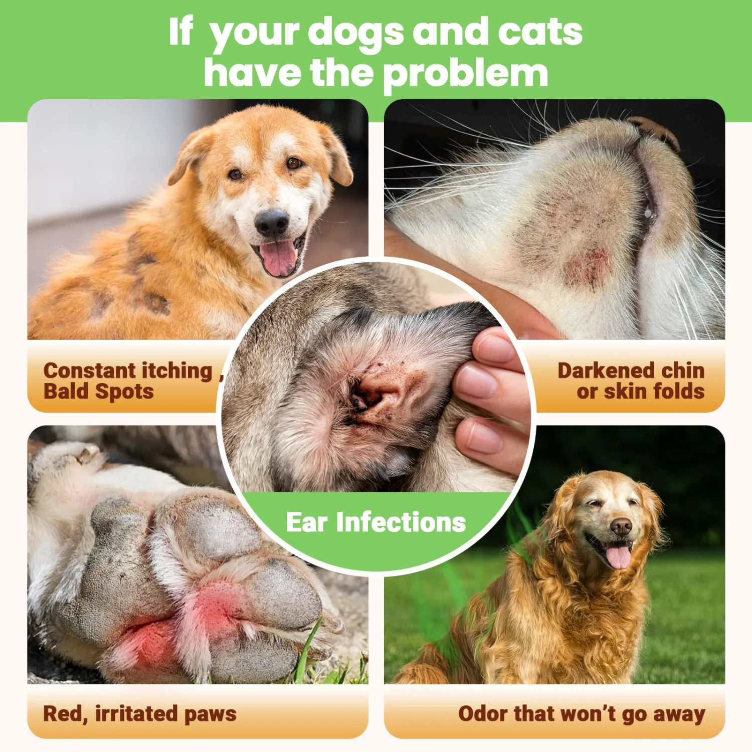 VUN Yeast Infection Treatment for Dogs- for Itchy Skin,Ears &Paw Redness