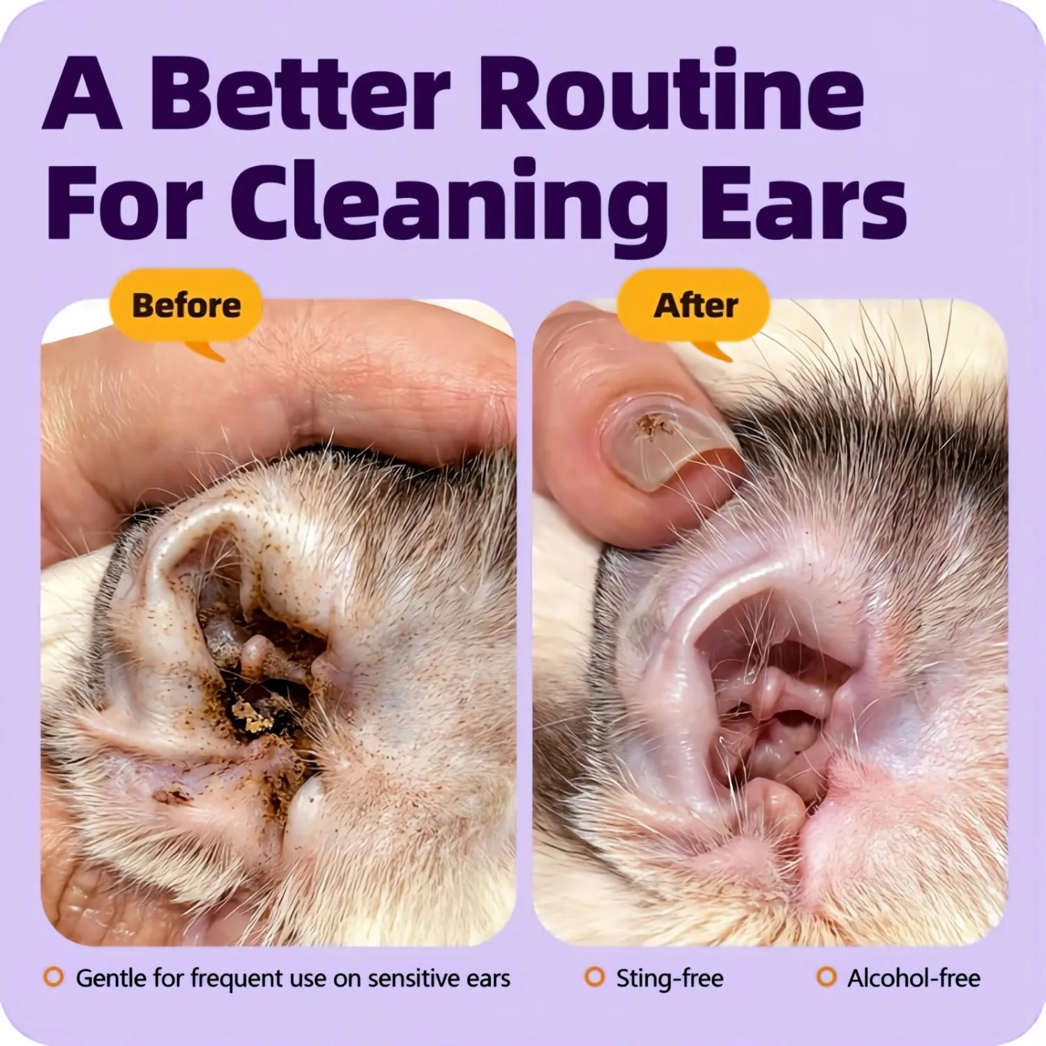Ear Infection Treatment Drops for Dogs and Cats, Ear Mites Treatment, Soothing Dog Yeast Infection, Ear Wax Removal,Itchy Ear Relief-Treats Ear Infections for Dogs & Cats - 0.67 fl oz