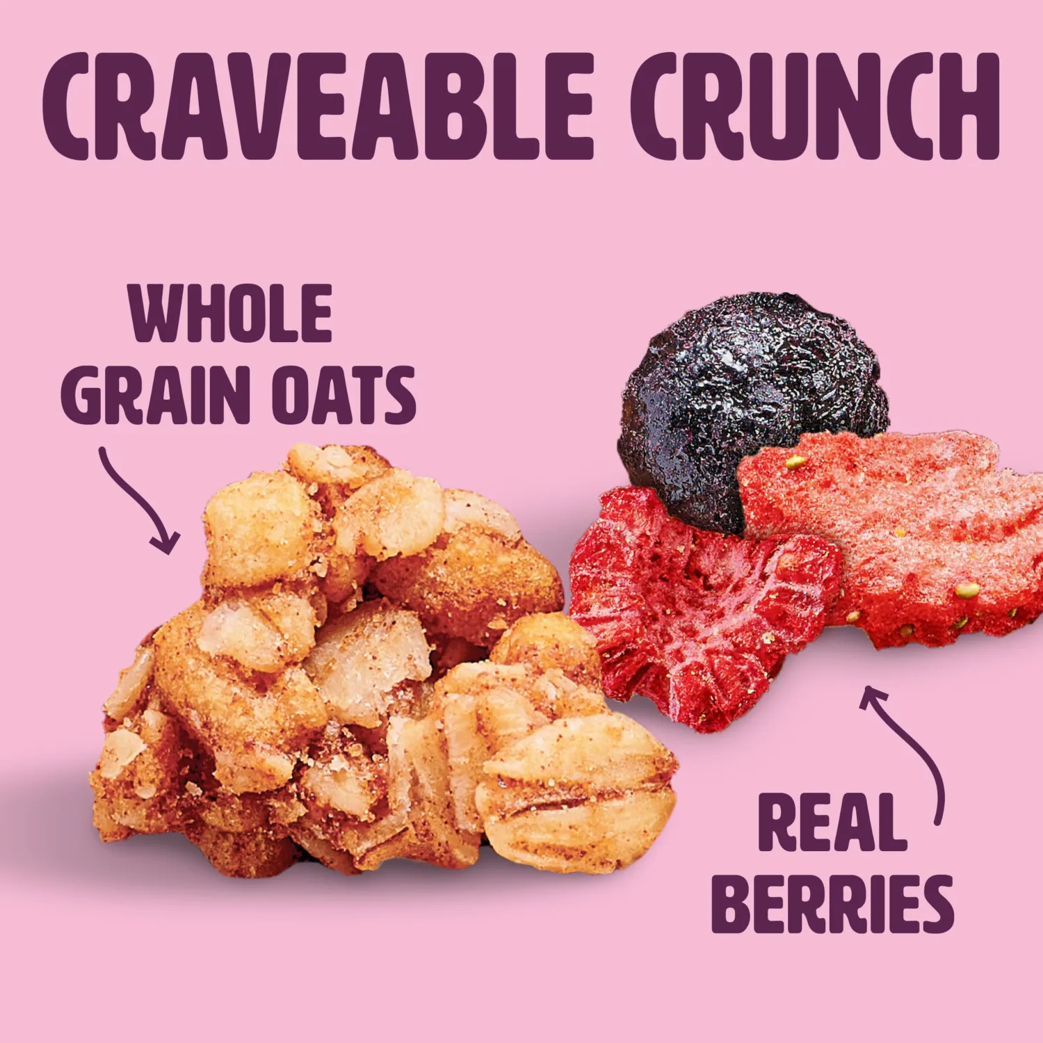 Wilde Terra Triple Berry Granola, 10 oz