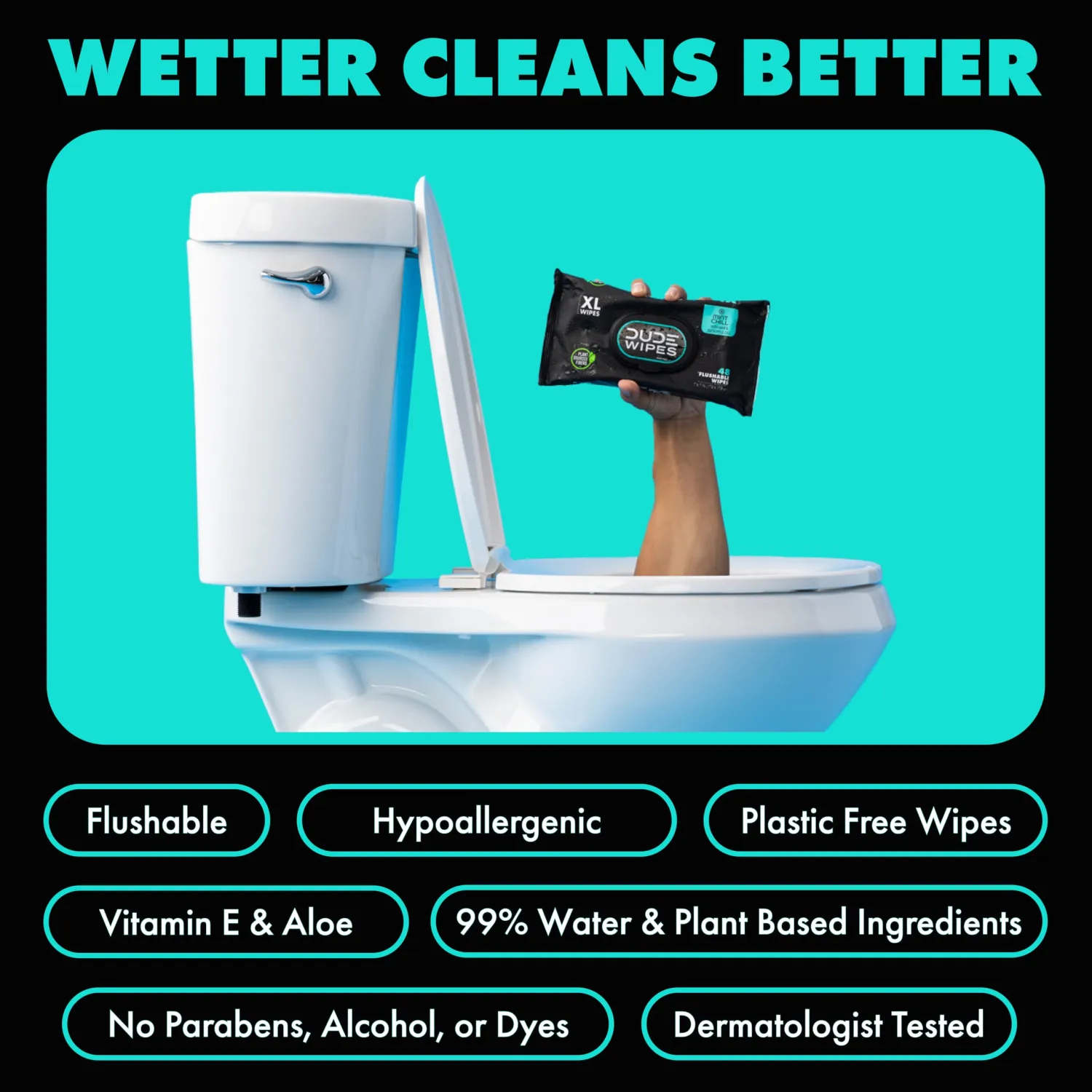 DUDE Wipes, 48 Wipes, 2 Pack | Flushable | Mint Chill | Extra-Large | Eucalyptus & Tea Tree Oil