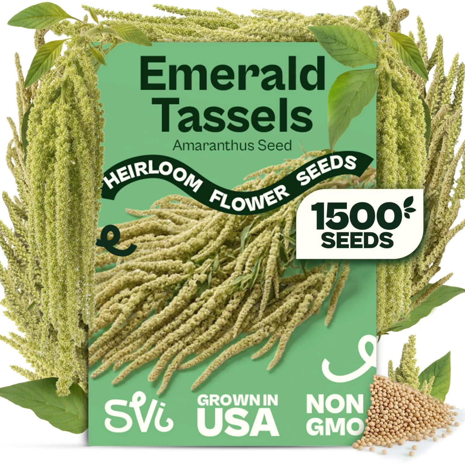 SVI 1500 Emerald Tassels Amaranth Seeds (Amaranthus caudatus) – Green Amaranthus Seed Packets Bulk, Heirloom Flower Garden Seed – Cut Flower Seeds for Outdoor Garden, Containers, Cutting Beds
