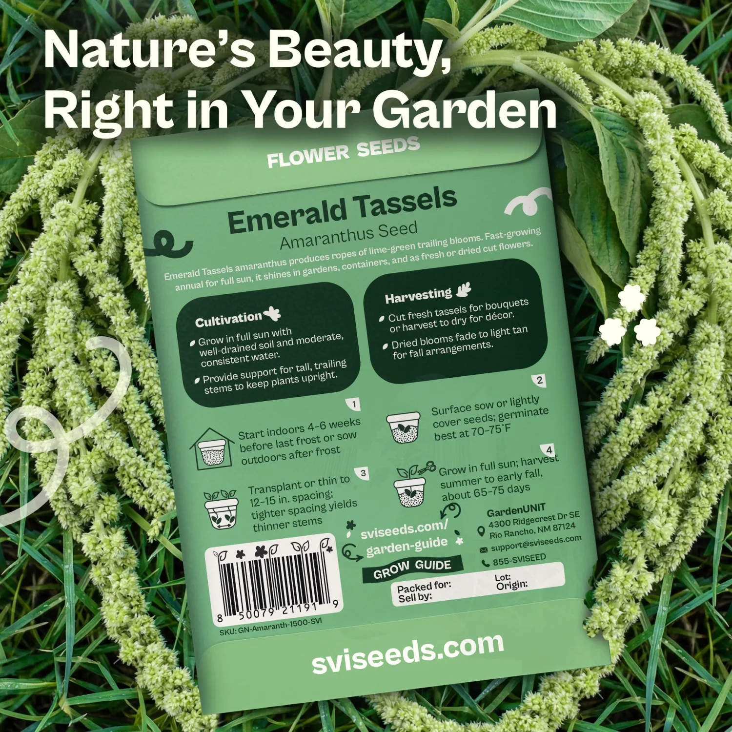 SVI 1500 Emerald Tassels Amaranth Seeds (Amaranthus caudatus) – Green Amaranthus Seed Packets Bulk, Heirloom Flower Garden Seed – Cut Flower Seeds for Outdoor Garden, Containers, Cutting Beds