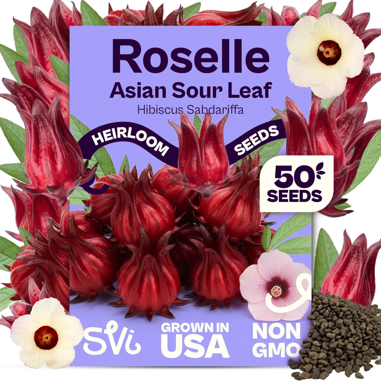 SVI 50 Asian Sour Leaf Roselle Seeds (Hibiscus sabdariffa) – Edible Roselle Hibiscus Flowers Seed Packets, Red Sorrel Garden Seed – Perennial Heirloom Vegetable Seeds Outdoor Garden, Containers