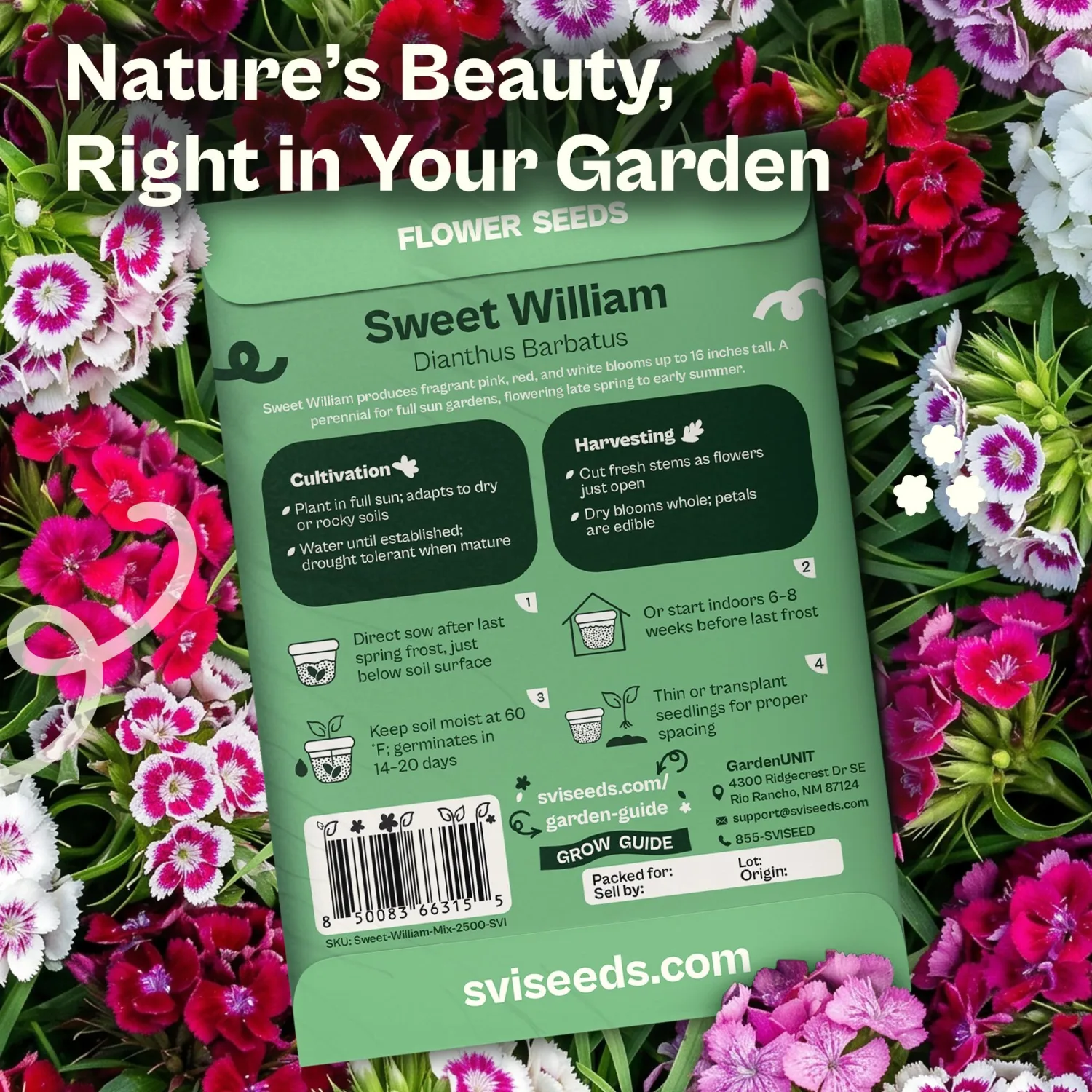 SVI 2500 Mix Sweet William Seeds (Dianthus barbatus) – Fragrant Sweet William Seed Packets Bulk – Heirloom Seed Mix, Non-GMO Perennial Flower Seeds Outdoor Flower Garden Beds & Indoor Garden
