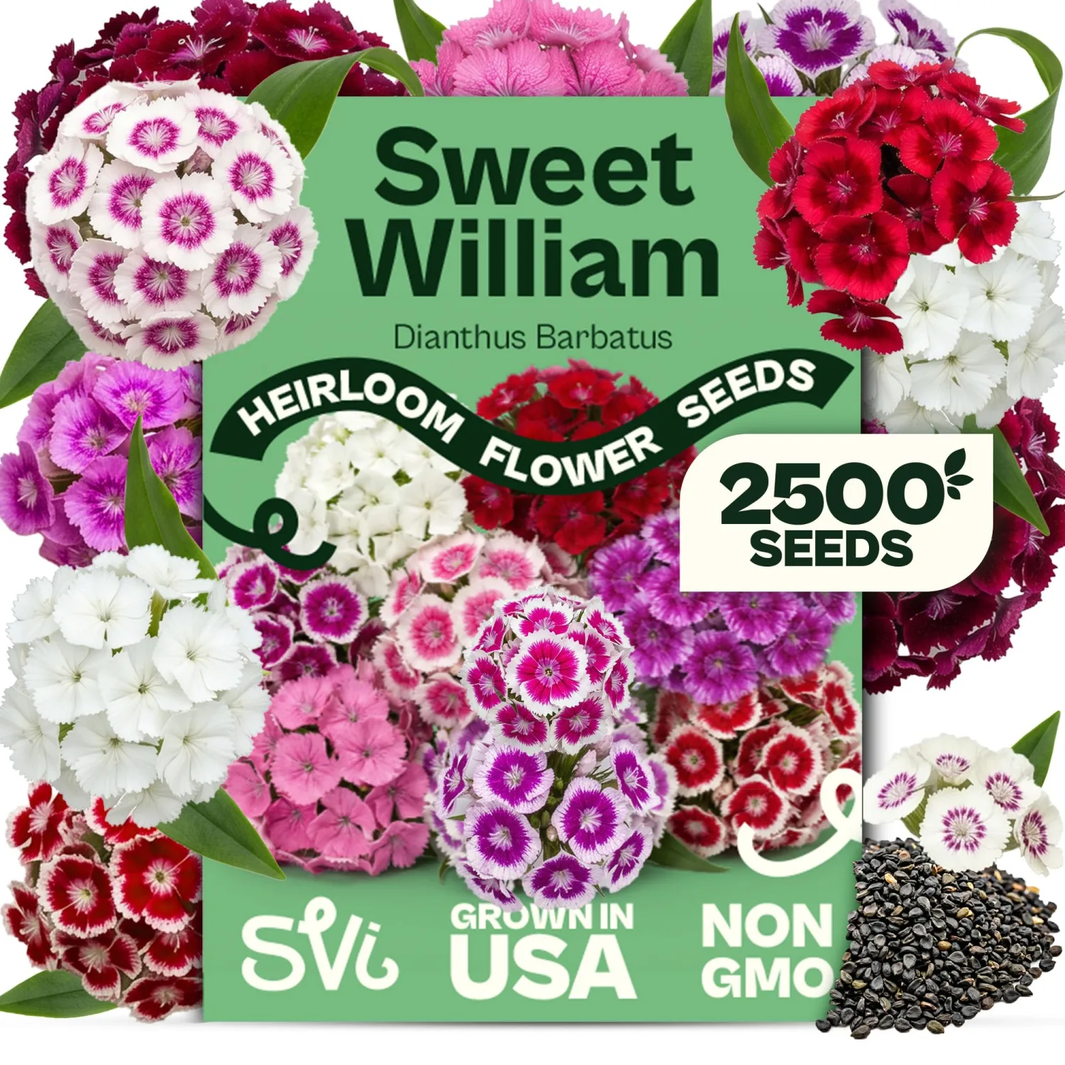 SVI 2500 Mix Sweet William Seeds (Dianthus barbatus) – Fragrant Sweet William Seed Packets Bulk – Heirloom Seed Mix, Non-GMO Perennial Flower Seeds Outdoor Flower Garden Beds & Indoor Garden