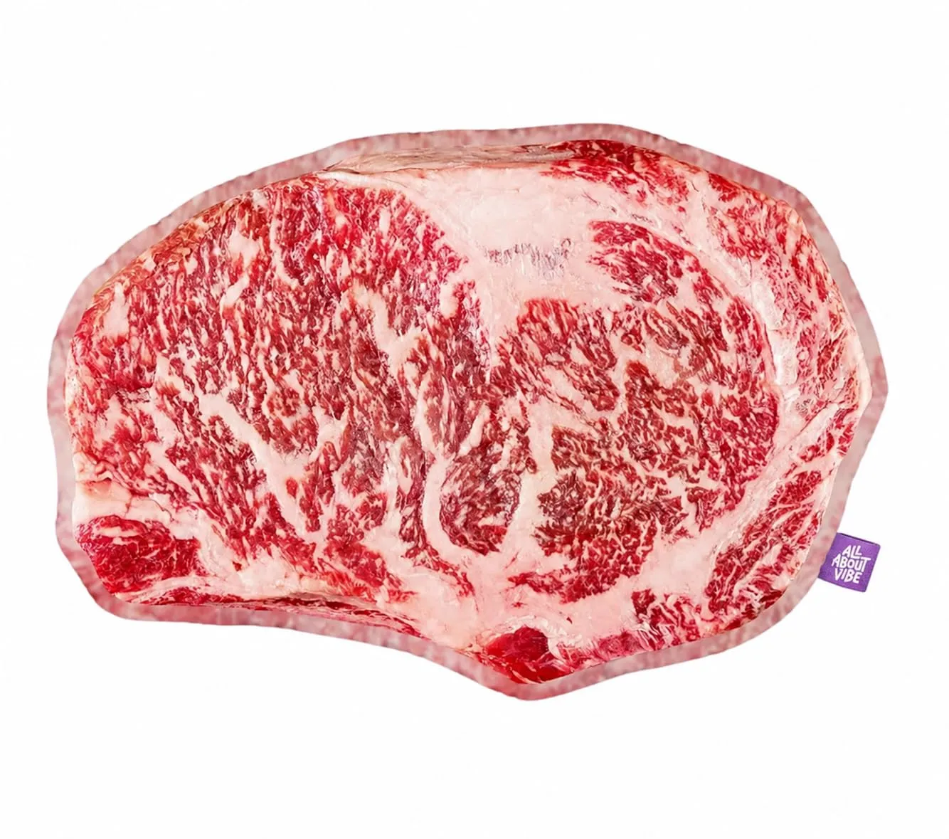 All About Vibe Wagyu Steak Pillow, 3D Novelty Throw Pillow