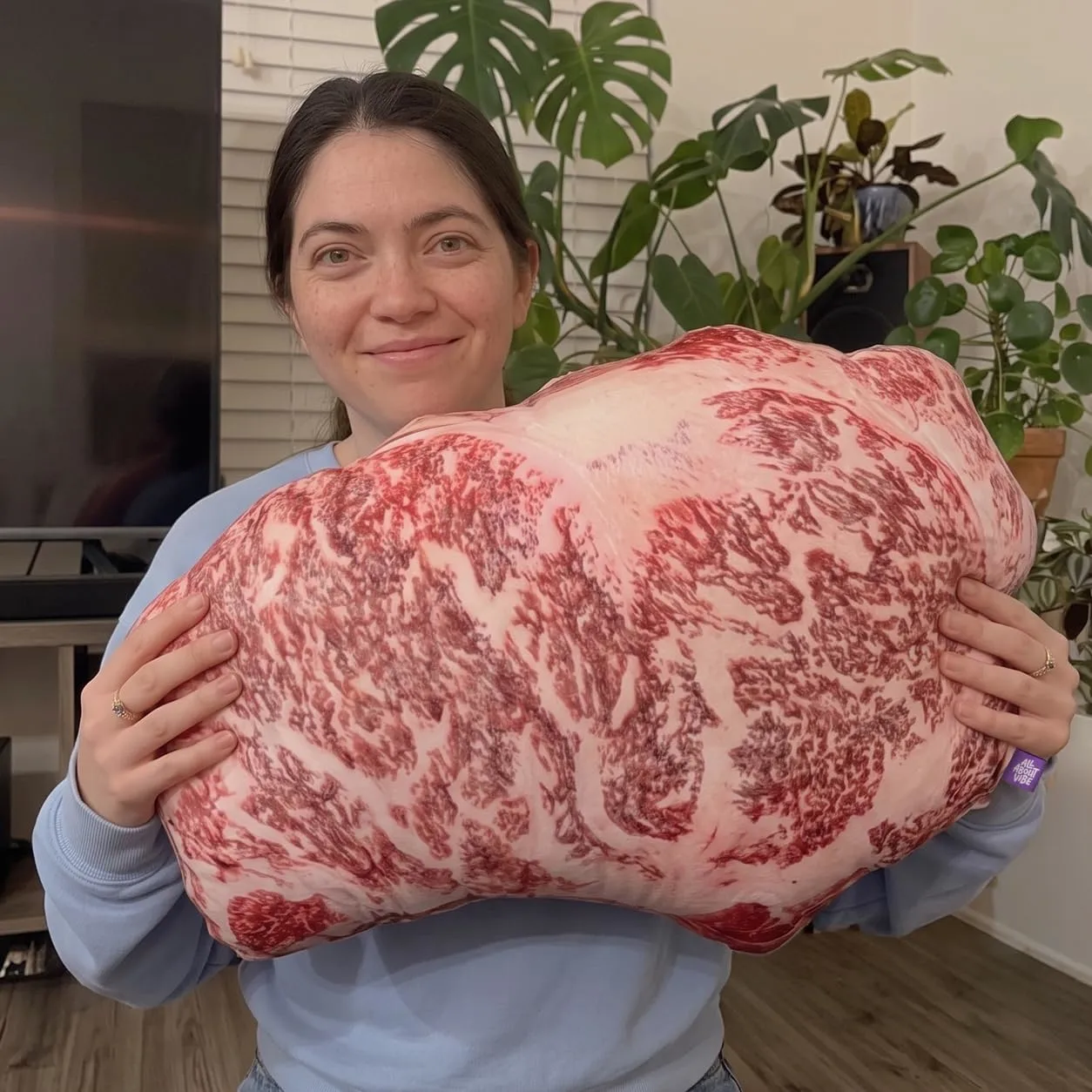 All About Vibe Wagyu Steak Pillow, 3D Novelty Throw Pillow
