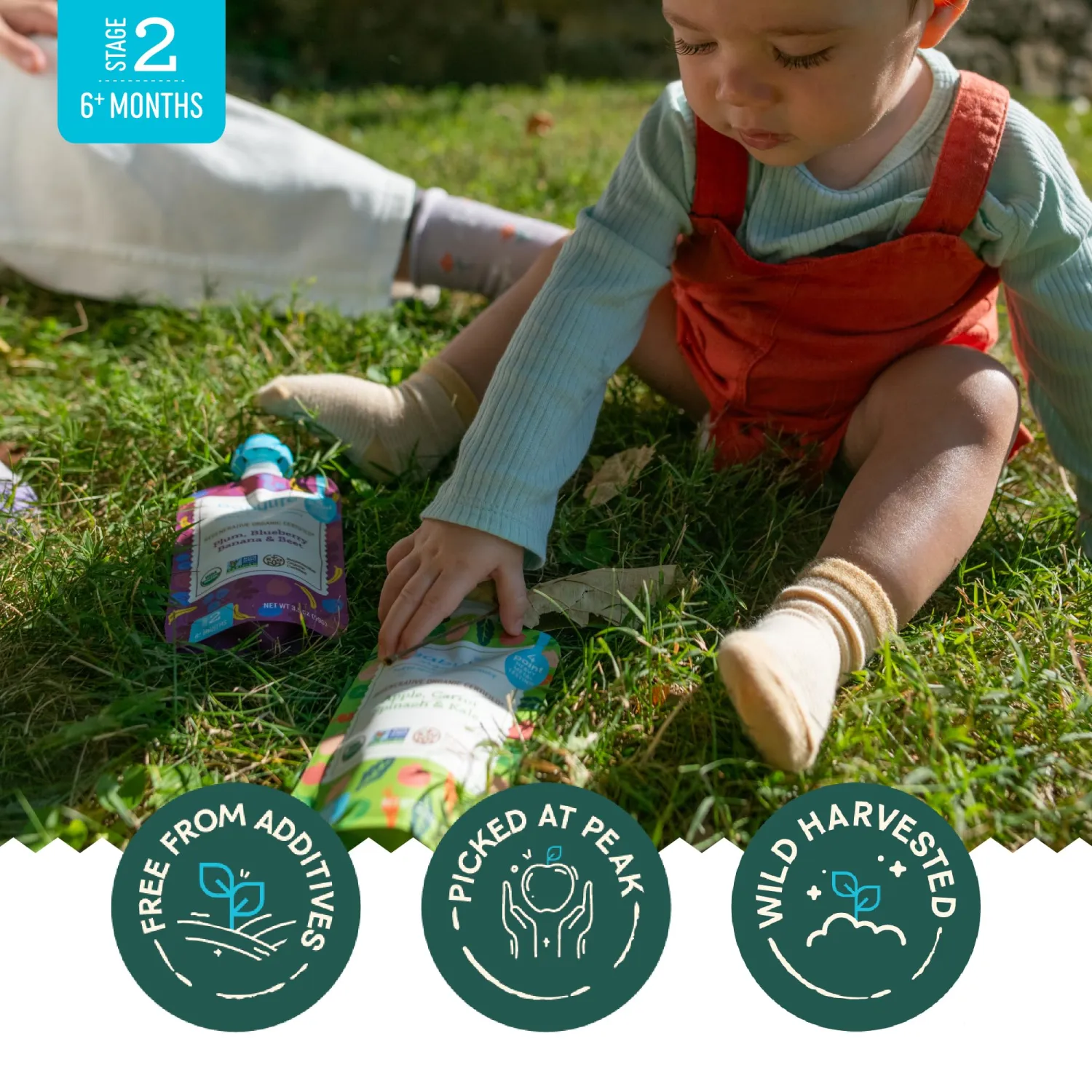 Babylife Organics Stage 2 - Apple, Carrot, Spinach & Kale, 3.5 Ounce Pouch (1 Pack) - Heavy Metal Safe, Organic Baby Food