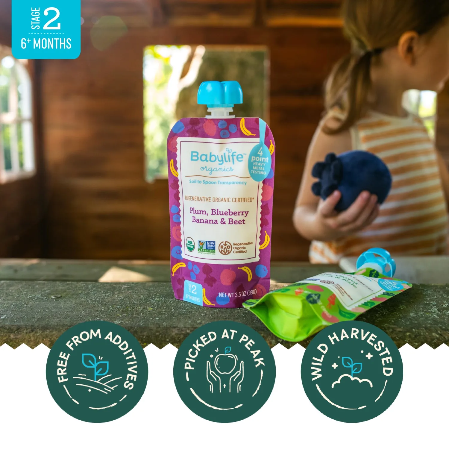 Babylife Organics Stage 2 - Plum, Blueberry, Banana & Beet, 3.5 Ounce Pouch (1 Pack) - Heavy Metal Safe, Organic Baby Food