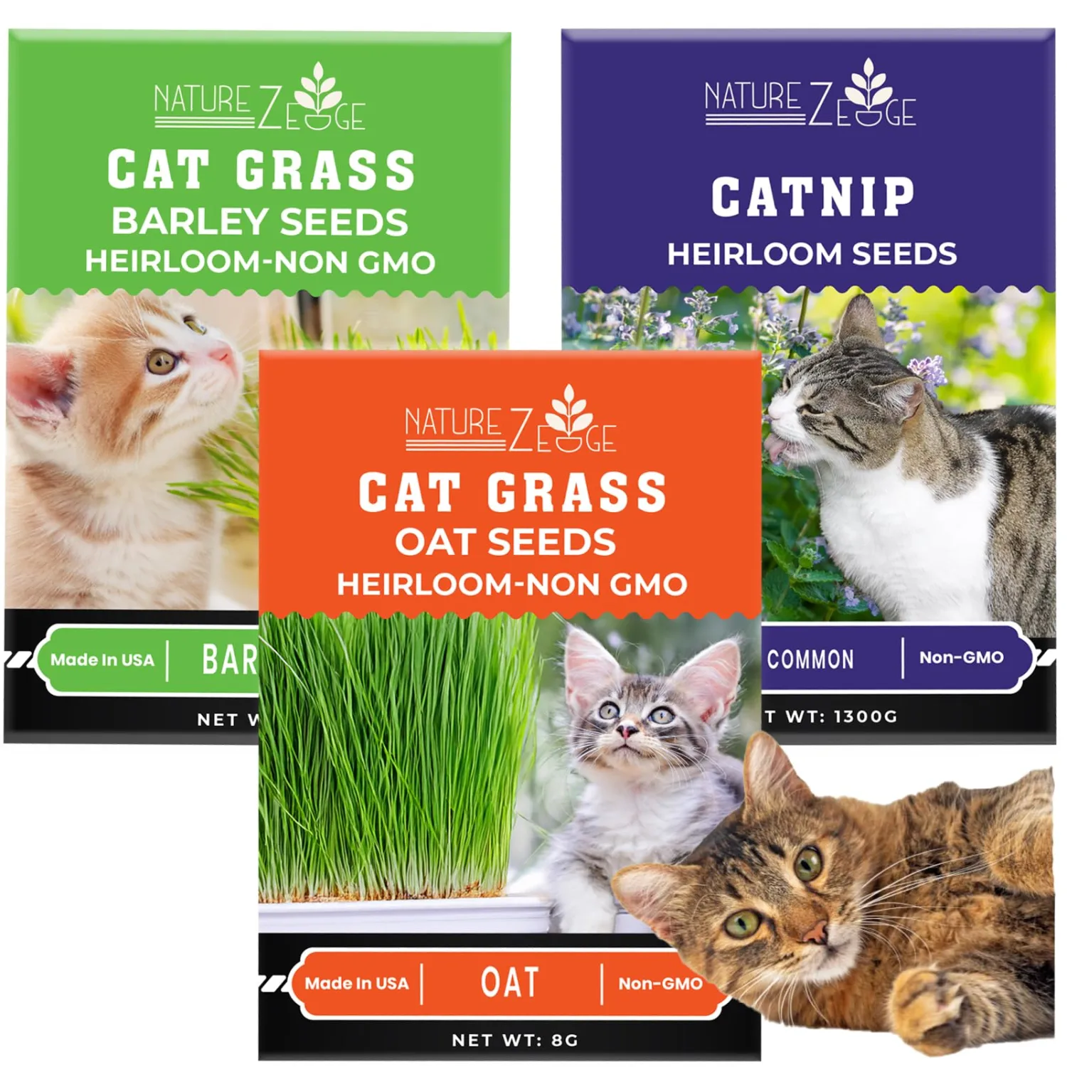 NatureZ Edge Cat Grass Seeds & Catnip Seeds - 3 Pack Variety Kit, Cat Grass for Indoor Cats, Oat & Barley Seeds for Planting, Cat Plant, Indoor Cat Grass Kit, hierba para Gatos