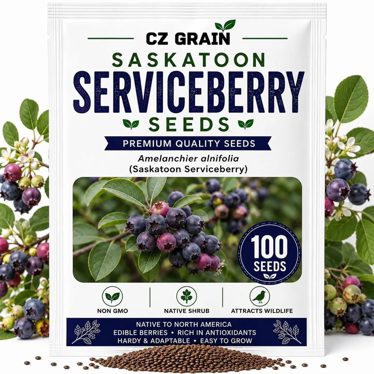 Saskatoon Serviceberry Seeds for Planting Native Berry 100 Premium Seeds