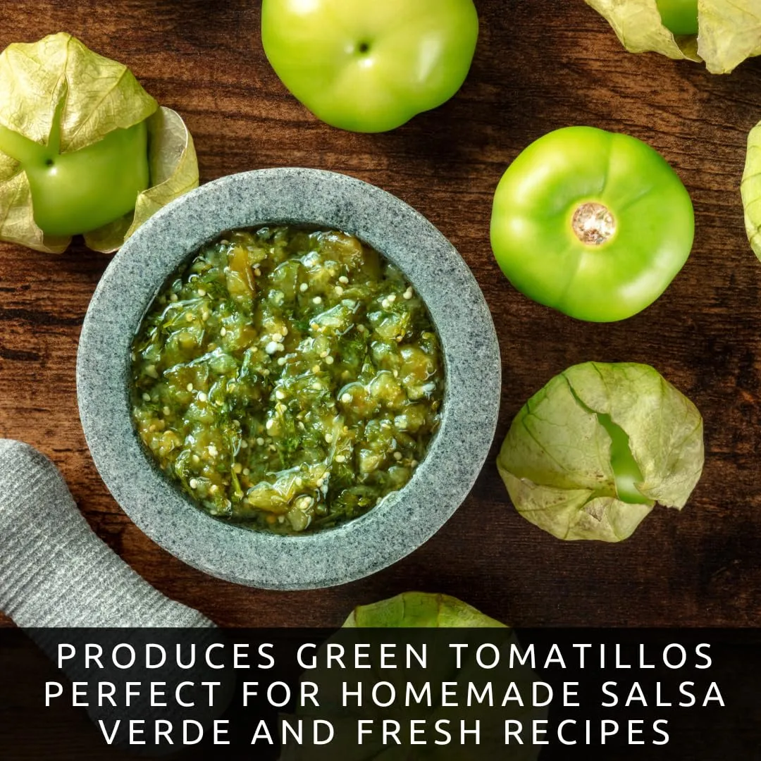 Green Tomatillo Seeds for Planting | Heirloom Salsa Verde | 100 Seeds