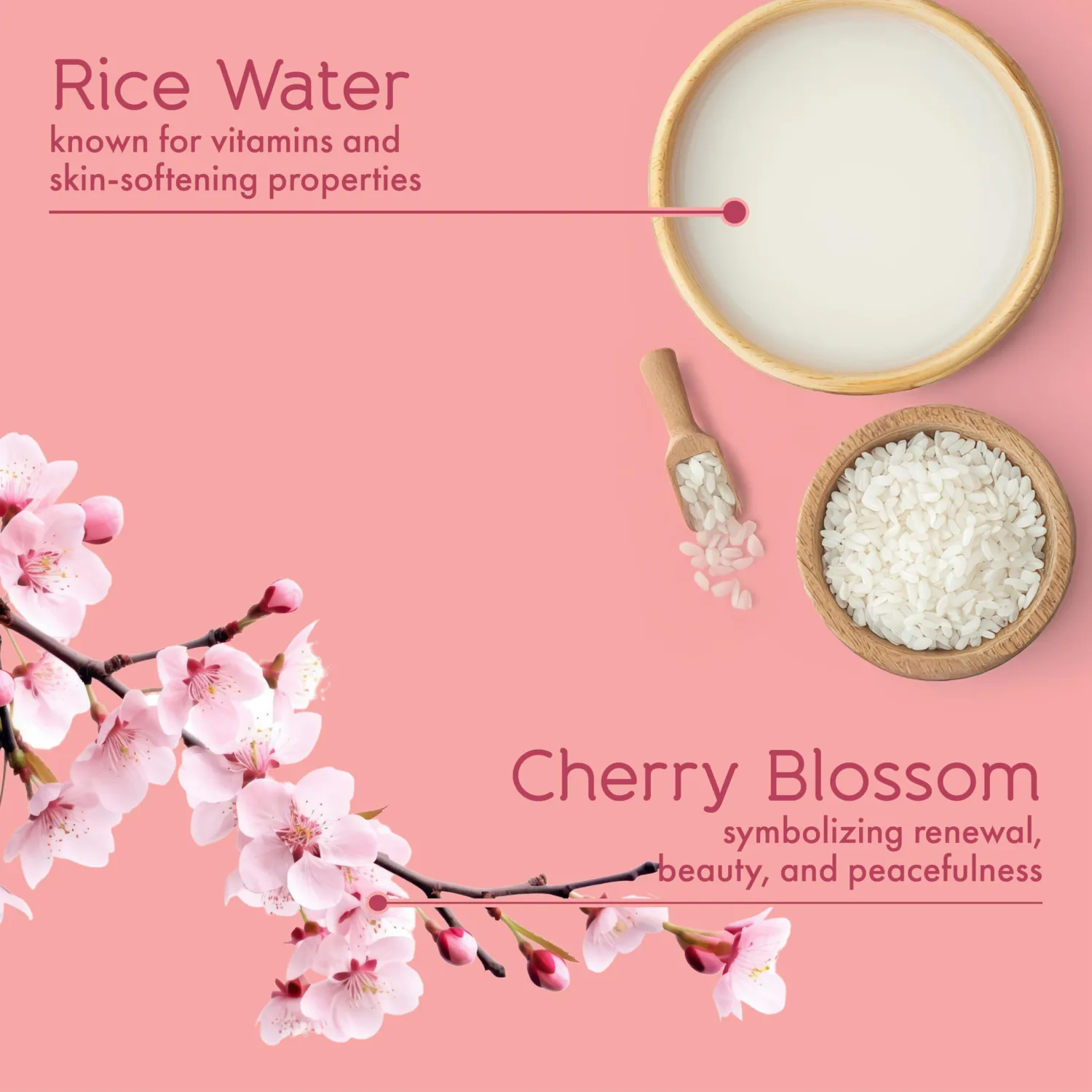 Tesori d’Oriente Ikigai Bar Soap, 5 oz, Plant-Based Aromatic Hand & Body Soap Bar with Rice Water, Hydrating, Gentle Cleanser for Men & Women, Soft Cherry Blossom Scent