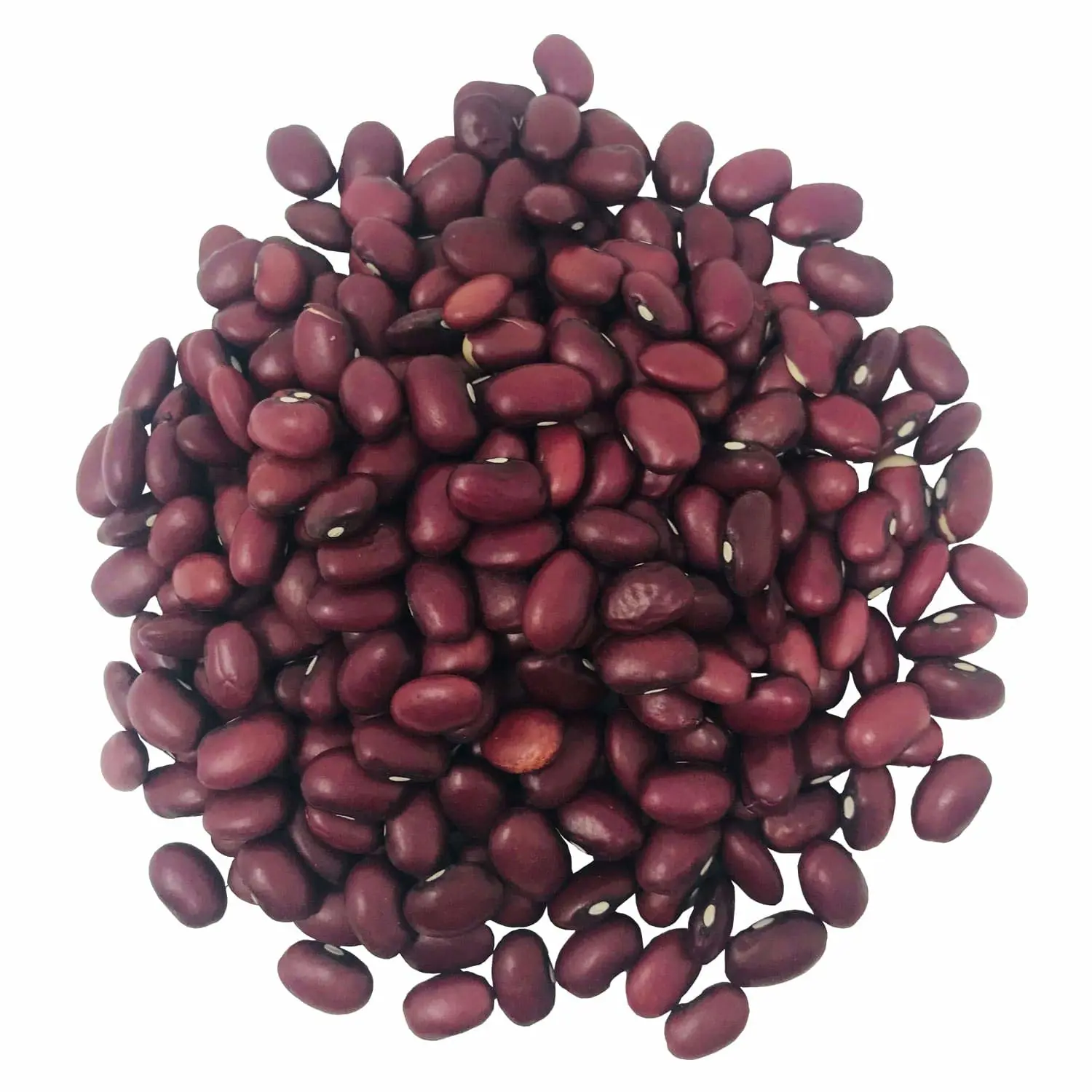 Food to Live Organic Small Red Chili Beans, 1 Pound - Non-GMO, Kosher, Vegan, Dry, Raw, Sproutable, Non-Irradiated, Bulk, Product of the USA