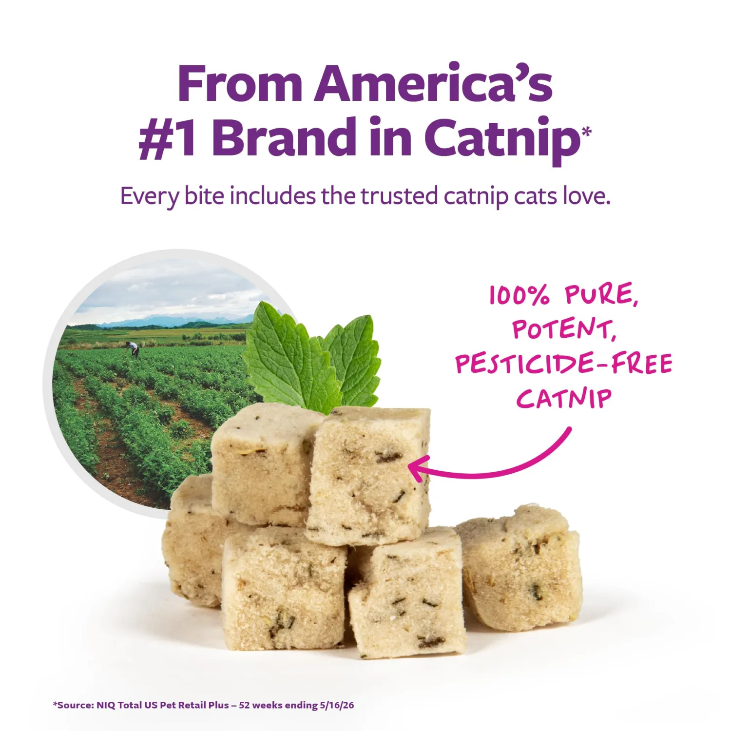 SmartyKat Freeze Dried Real Chicken & Catnip Crunchy Cube Treats for Cats, 2.8 oz Bag